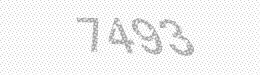 Visual security code — type the characters shown in the image